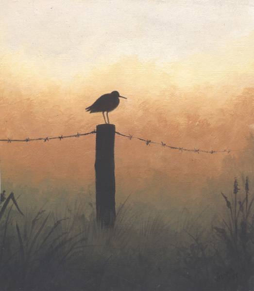 Dusk
