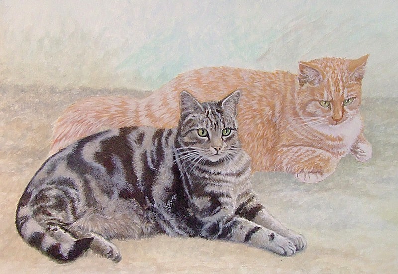 Harry and Tango
