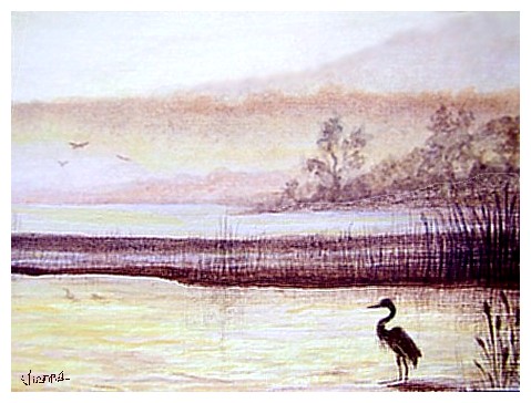 Heron