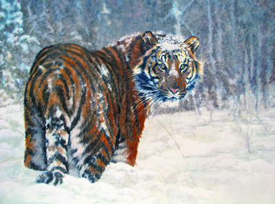 Midwinter