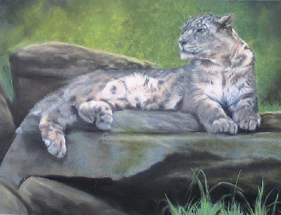 Snow Leopard