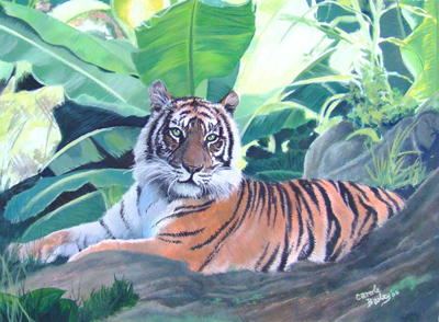 Sumatran Tiger