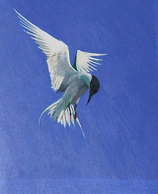 Tern I