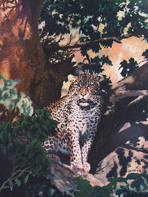 Tree Leopard