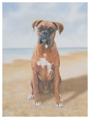 Winston