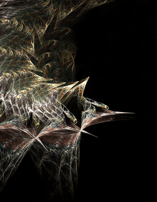 A Memory of Birds