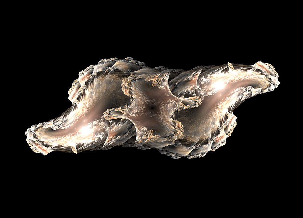 Vertebra